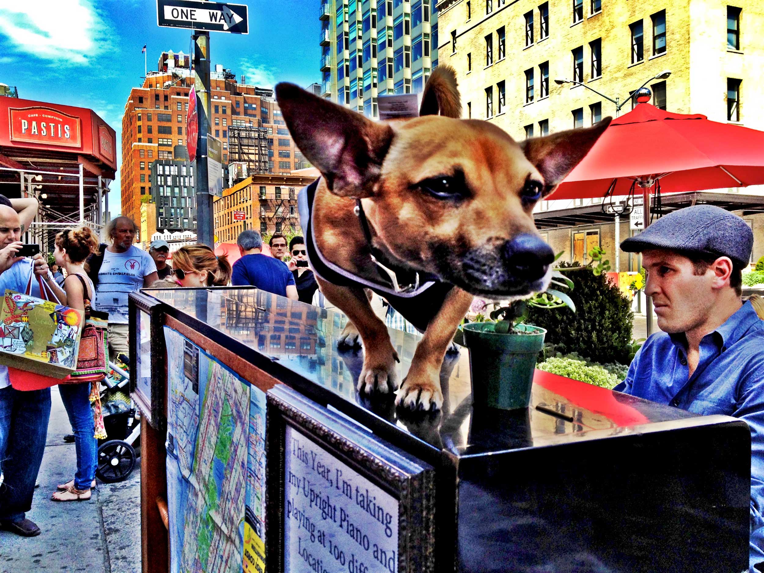 Meatpacking District - eine der New Yorker Attraktionen