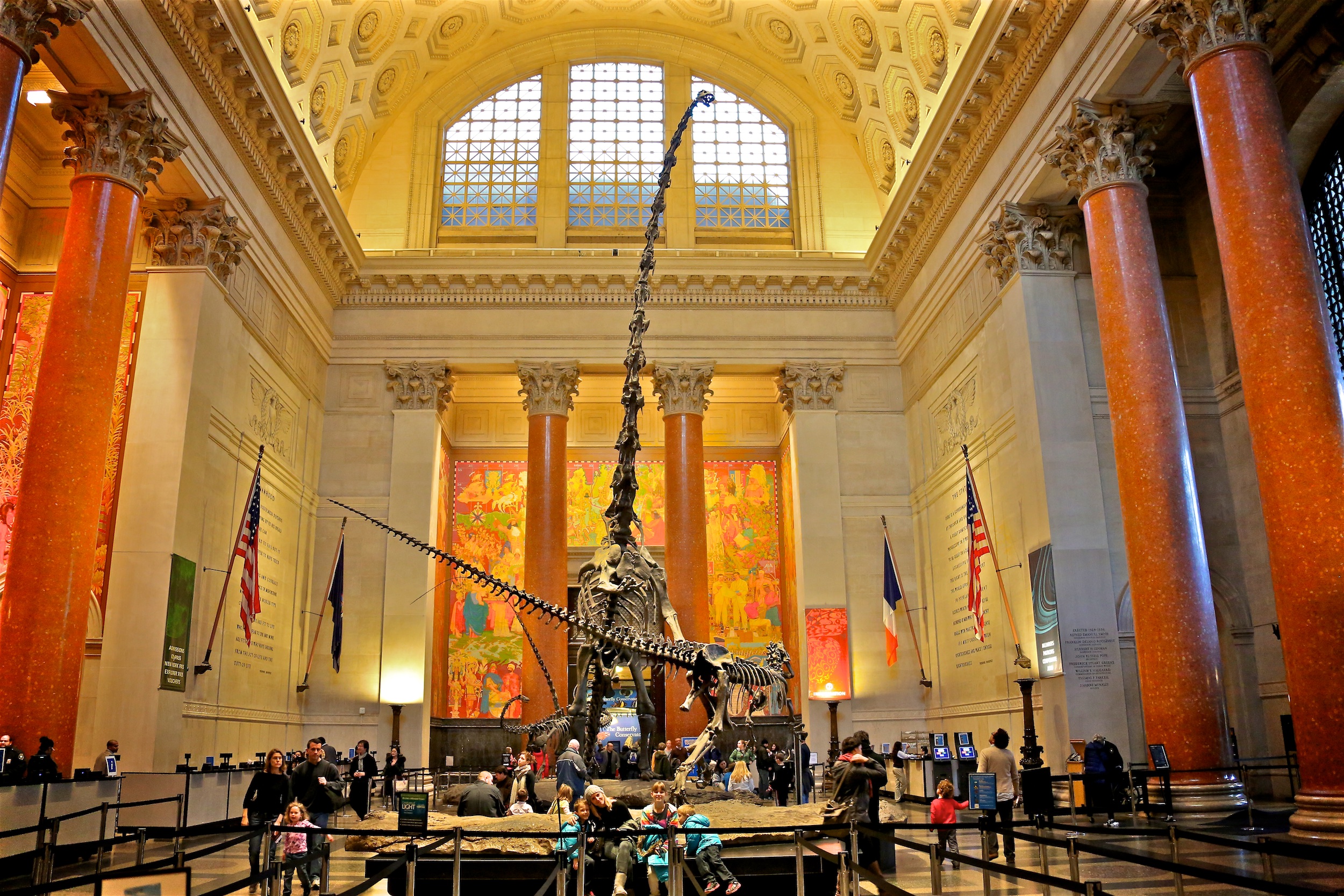 American Museum of Natural History