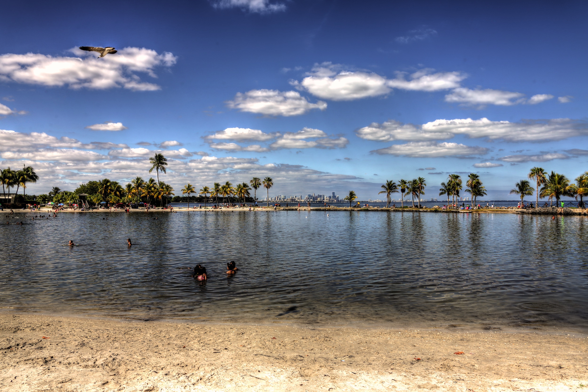 Matheson Hammock Park