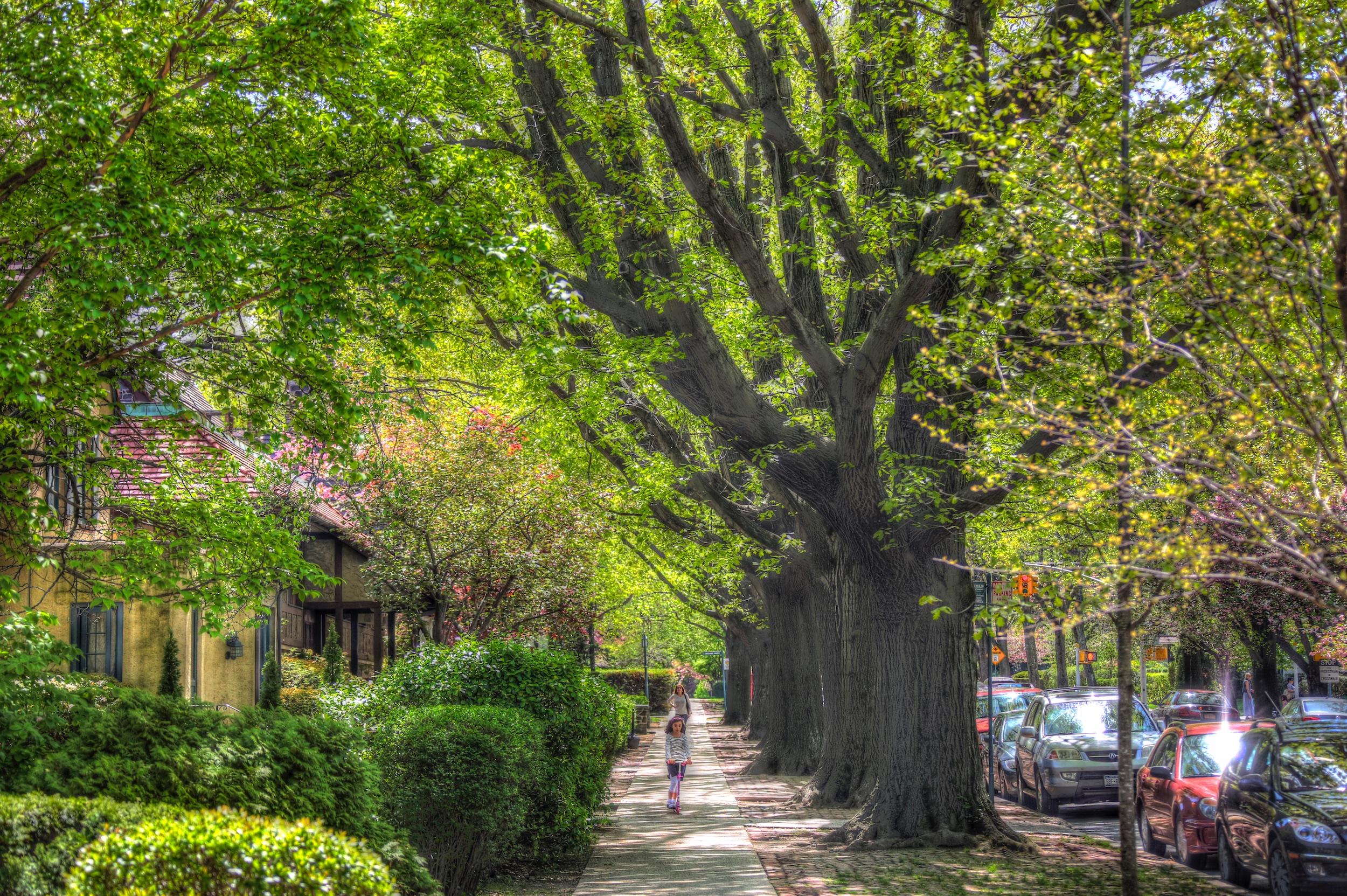 So schön grün hier!